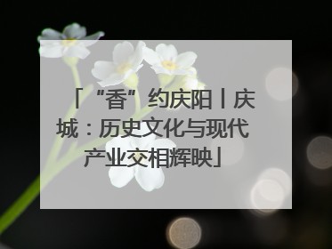“香”约庆阳丨庆城：历史文化与现代产业交相辉映