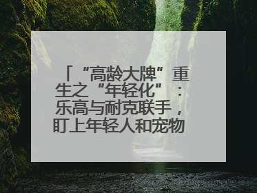 “高龄大牌”重生之“年轻化”：乐高与耐克联手，盯上年轻人和宠物的钱包