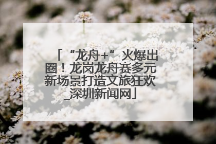 “龙舟+”火爆出圈！龙岗龙舟赛多元新场景打造文旅狂欢_深圳新闻网