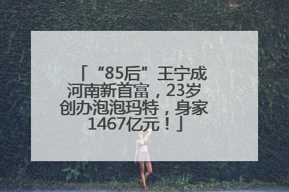 “85后”王宁成河南新首富，23岁创办泡泡玛特，身家1467亿元！