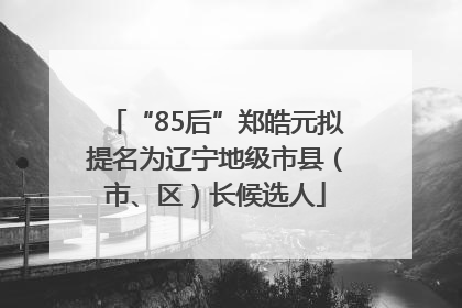 “85后”郑皓元拟提名为辽宁地级市县（市、区）长候选人