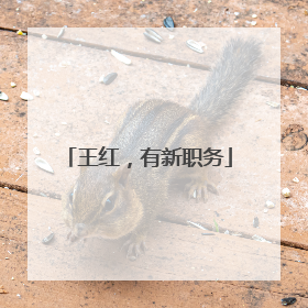 王红，有新职务