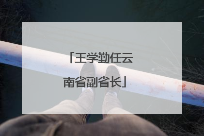 王学勤任云南省副省长