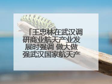 王忠林在武汉调研商业航天产业发展时强调 做大做强武汉国家航天产业基地 打造具有全国影响力的“中国星谷”