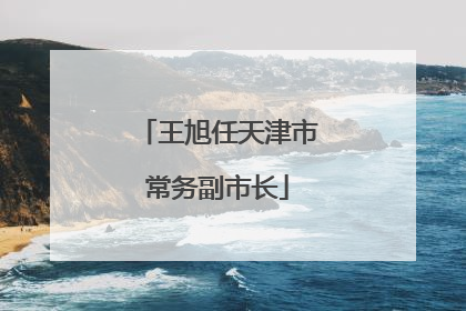 王旭任天津市常务副市长