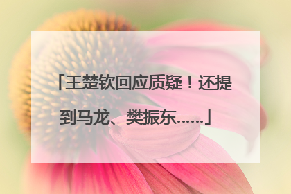 王楚钦回应质疑！还提到马龙、樊振东……