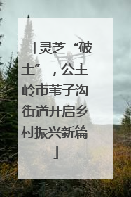 灵芝“破土”，公主岭市苇子沟街道开启乡村振兴新篇