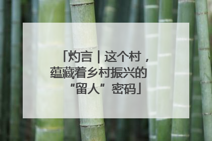 灼言｜这个村，蕴藏着乡村振兴的“留人”密码