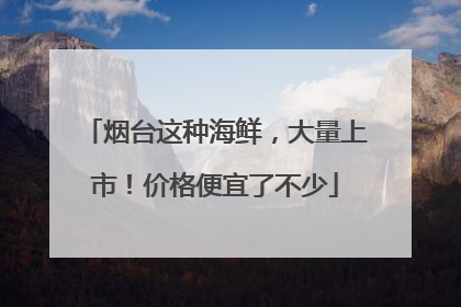 烟台这种海鲜，大量上市！价格便宜了不少