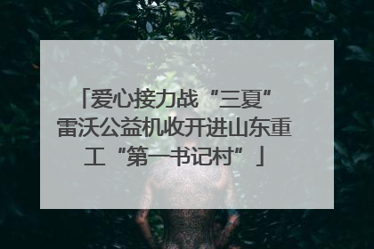 爱心接力战“三夏” 雷沃公益机收开进山东重工“第一书记村”