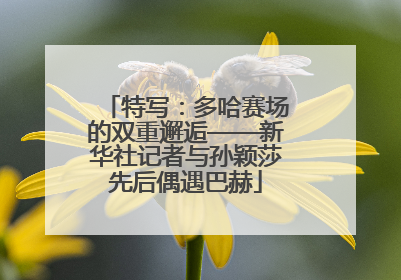 特写：多哈赛场的双重邂逅——新华社记者与孙颖莎先后偶遇巴赫
