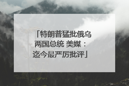 特朗普猛批俄乌两国总统 美媒：迄今最严厉批评