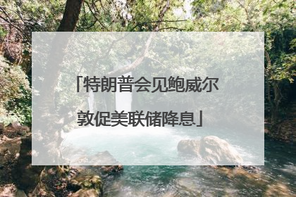 特朗普会见鲍威尔 敦促美联储降息