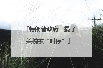 特朗普政府一揽子关税被“叫停”