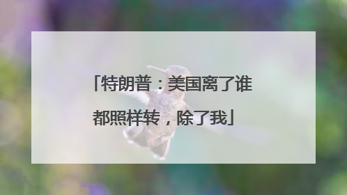 特朗普：美国离了谁都照样转，除了我