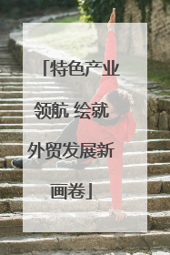 特色产业领航 绘就外贸发展新画卷