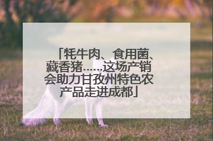 牦牛肉、食用菌、藏香猪……这场产销会助力甘孜州特色农产品走进成都