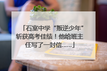 石室中学“叛逆少年”斩获高考佳绩！他给班主任写了一封信……