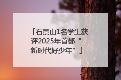 石景山1名学生获评2025年首都“新时代好少年”