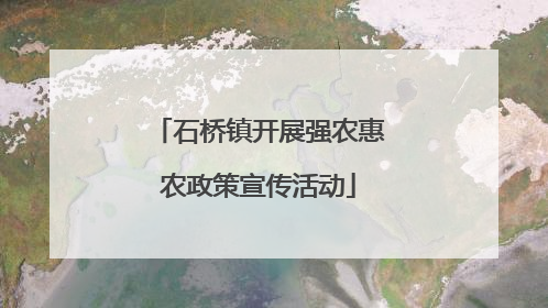 石桥镇开展强农惠农政策宣传活动