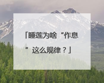 睡莲为啥“作息”这么规律？