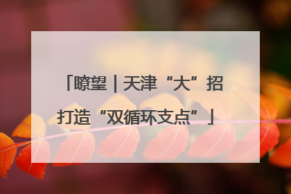 瞭望｜天津“大”招打造“双循环支点”