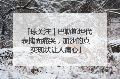 球关注｜巴勒斯坦代表掩面痛哭，加沙的真实现状让人痛心