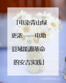 电染青山绿更浓——电助县域能源革命的安吉实践