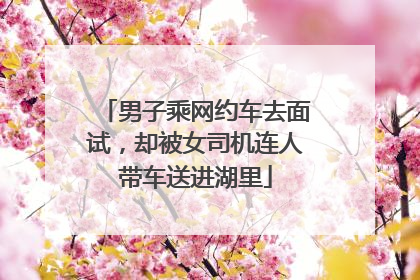 男子乘网约车去面试，却被女司机连人带车送进湖里