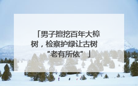 男子擅挖百年大樟树，检察护绿让古树“老有所依”