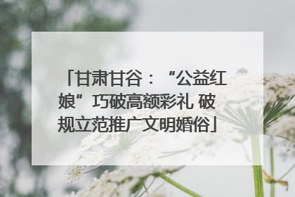 甘肃甘谷：“公益红娘”巧破高额彩礼 破规立范推广文明婚俗