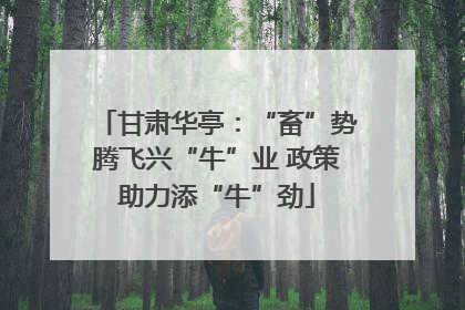 甘肃华亭：“畜”势腾飞兴“牛”业 政策助力添“牛”劲