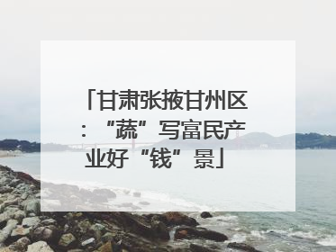 甘肃张掖甘州区：“蔬”写富民产业好“钱”景