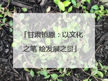 甘肃镇原：以文化之笔 绘发展之景