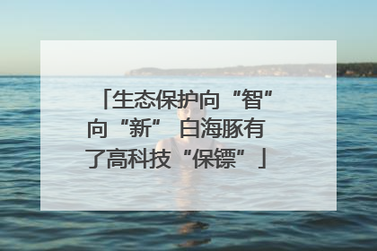 生态保护向“智”向“新” 白海豚有了高科技“保镖”