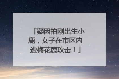 疑因拍刚出生小鹿，女子在市区内遭梅花鹿攻击！