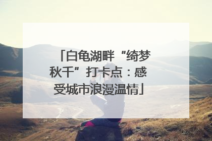 白龟湖畔“绮梦秋千”打卡点：感受城市浪漫温情