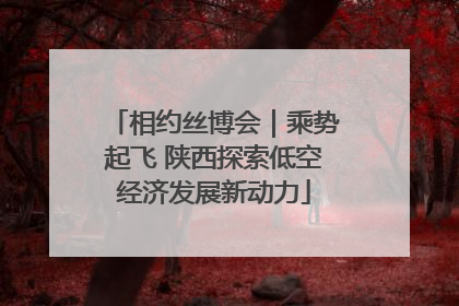 相约丝博会｜乘势起飞 陕西探索低空经济发展新动力