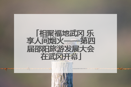 相聚福地武冈 乐享人间烟火——第四届邵阳旅游发展大会在武冈开幕