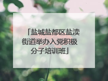 盐城盐都区盐渎街道举办入党积极分子培训班