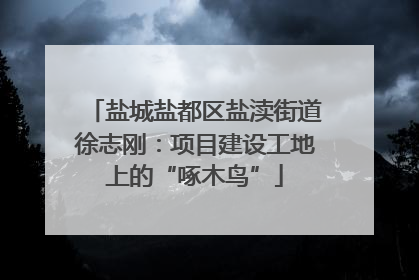 盐城盐都区盐渎街道徐志刚：项目建设工地上的“啄木鸟”