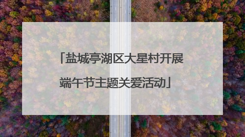 盐城亭湖区大星村开展端午节主题关爱活动