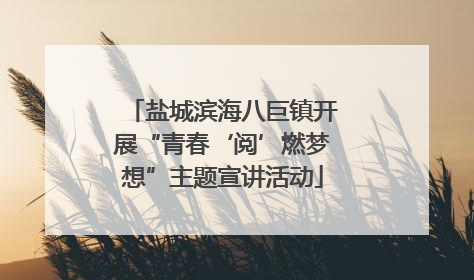 盐城滨海八巨镇开展“青春‘阅’燃梦想”主题宣讲活动