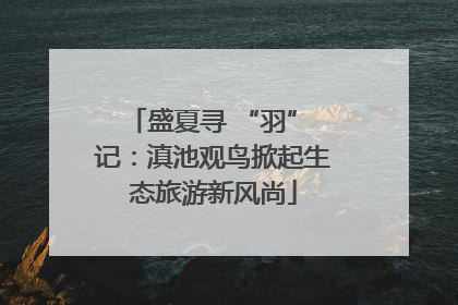 盛夏寻 “羽” 记：滇池观鸟掀起生态旅游新风尚