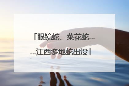 眼镜蛇、菜花蛇……江西多地蛇出没