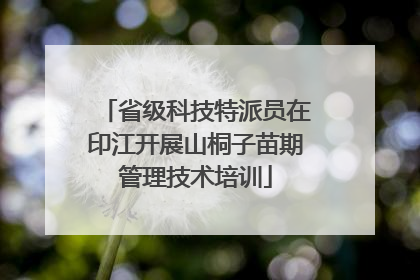 省级科技特派员在印江开展山桐子苗期管理技术培训