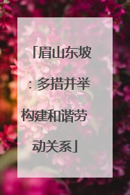 眉山东坡：多措并举构建和谐劳动关系