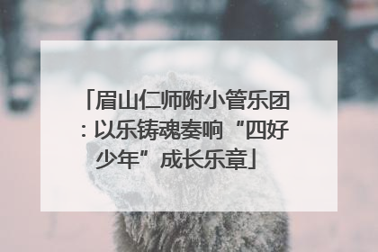 眉山仁师附小管乐团：以乐铸魂奏响“四好少年”成长乐章