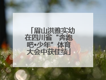 眉山洪雅实幼在四川省“奔跑吧•少年”体育大会中获佳绩