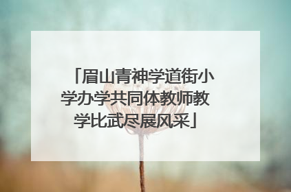 眉山青神学道街小学办学共同体教师教学比武尽展风采